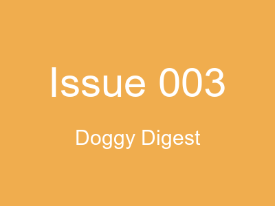 Rainy Day Brain Games preview